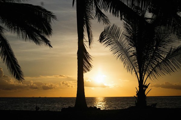 Règles Machines à Sous Casino