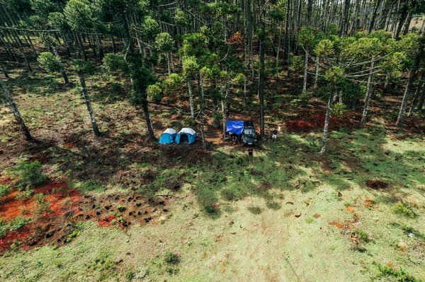 Machines à Sous Apex