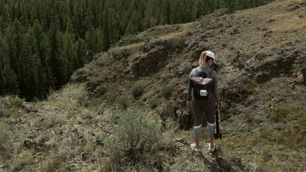 Logiciel De Stratégie De Roulette Libre