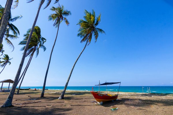 Jouer Gratuitsment Au Rami