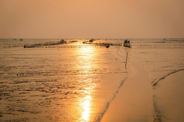 Quel Système De Jeu à Des Jeux De Casino