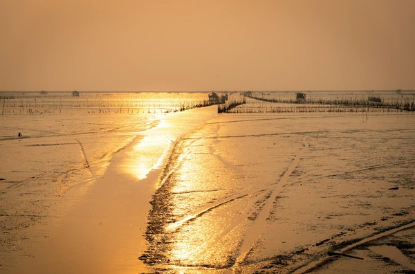 Rever De Gagner Aux Machines à Sous