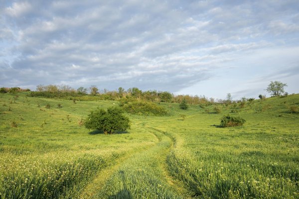 Jouer Maintenant Slots Gratuits