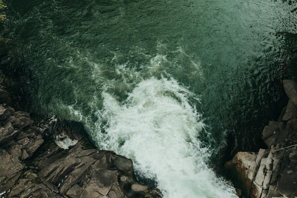 Numéros De Prévision De La Roulette