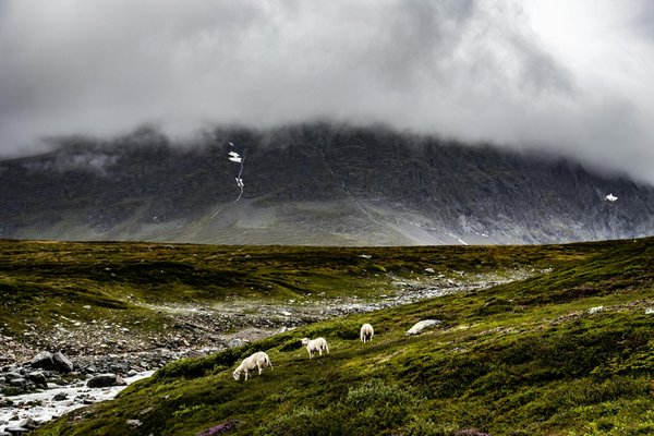 Site De Casino En Ligne Belge