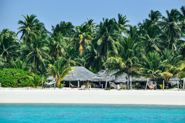 Roulette Live Gratuits