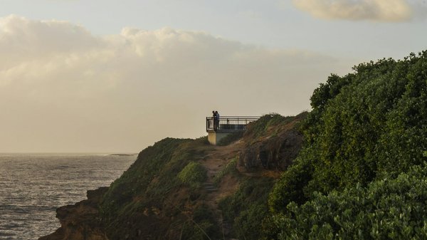 Paiement Vert Sur La Roulette