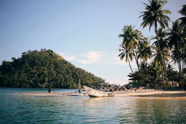 Roulette Prédicteur En Ligne