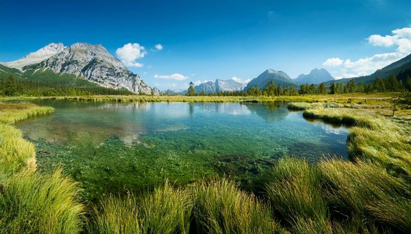 Machines à Sous Medusa