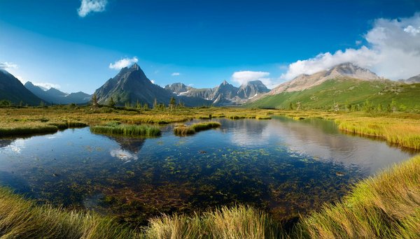 Le Meilleur Casino En Ligne Suisse