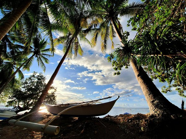 Pourcentage De Gagner Au Casino