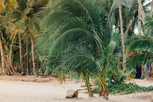 Machines De Casino Slots Gratuits