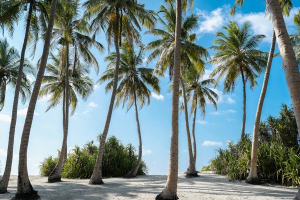 Machines à Sous Faciles à Gagner