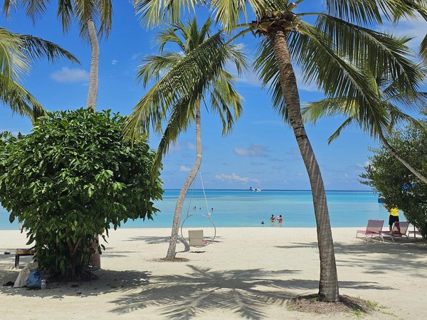 La Plus Haute Probabilité Gagnante Roulette