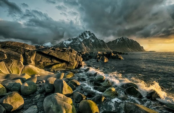 Roulette De Cotes De Numéro Unique