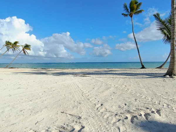 Quelles Sont Les Chances De Gagner Des Jeux De Casino