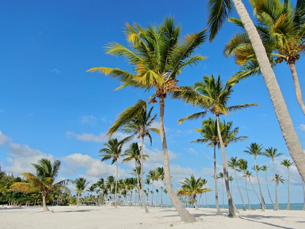 Slots Avec 120 Spins Gratuits Gagnez De L Argent Réel