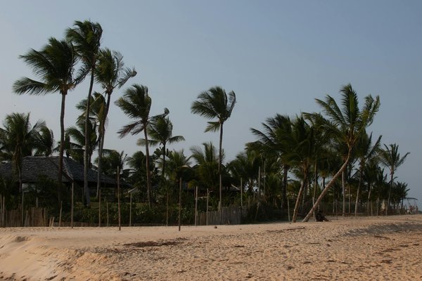 Gagner Argent Avec Roulette