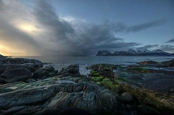 Conseils Sur La Roulette Pour Gagner