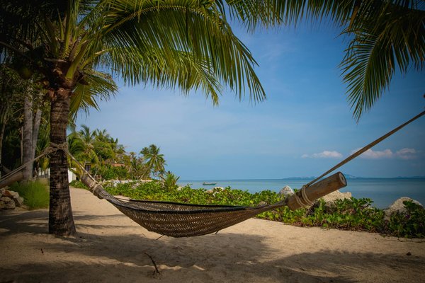 Programmes De Casino En Ligne