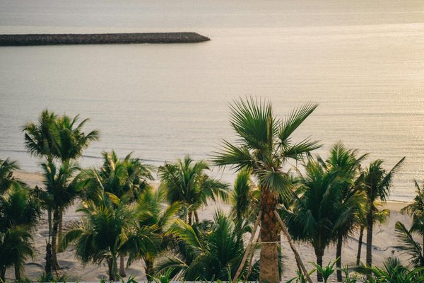 Roulette Americaine Gratuits