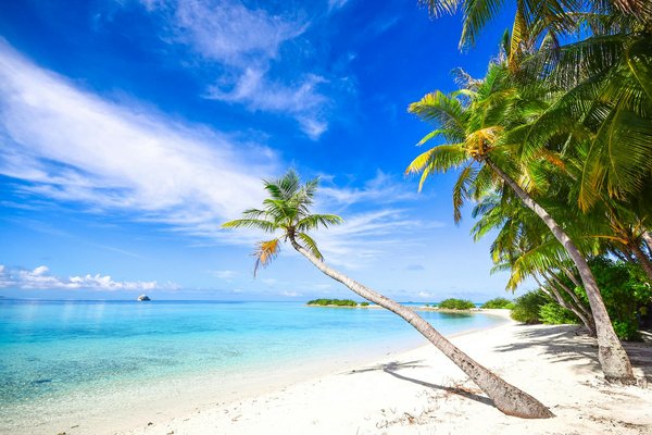 Machines à Sous Casino Jeux En Ligne Gratuits